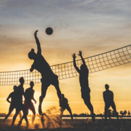 volleybolllag