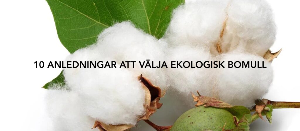 närbild av bomull